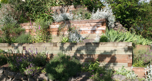 wood terraced garden